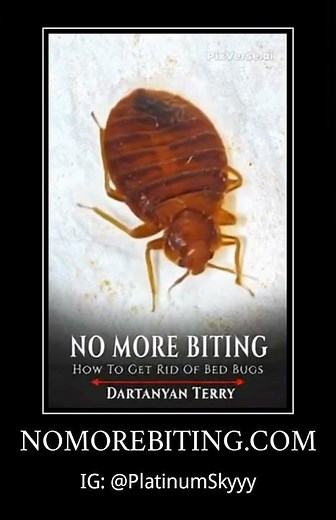 NoMoreBiting.com - No More Biting: How To Get Rid Of Bed Bugs (Download Ebook Now!)