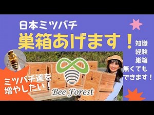日本ミツバチ巣箱あげます！【助成支援：説明動画】守ろう生物多様性！