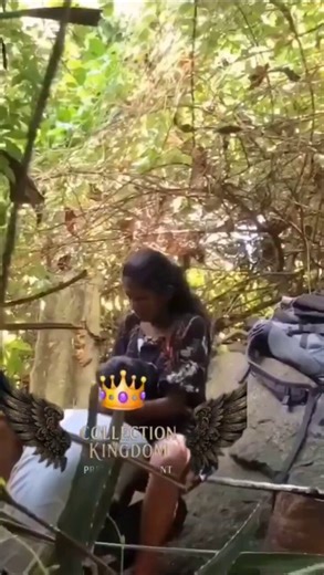 Rick Flowers (@RickF94654) on X