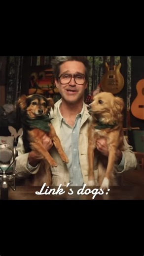 Link's Dogs vs Rhett's Dogs: A Hilarious Showdown