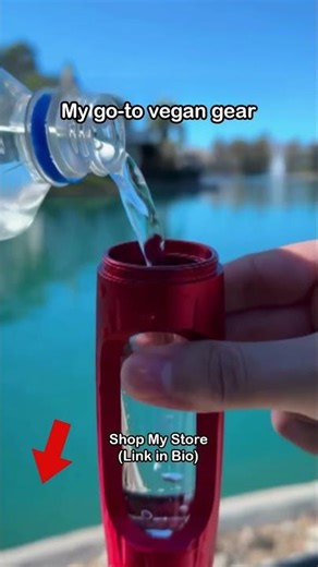 Authentication Fails (auth header format should be Bearer sk-...)