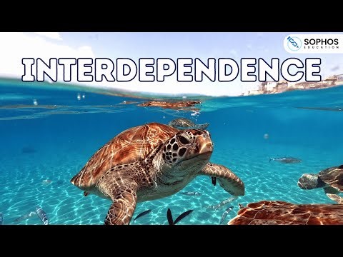 Interdependence