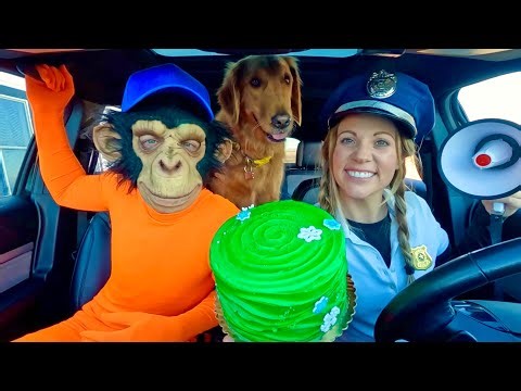 Rubber Ducky Surprises Puppy, Monkey & Police with Car Ride Chase