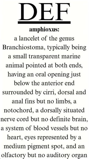 Word of the Day - amphioxus