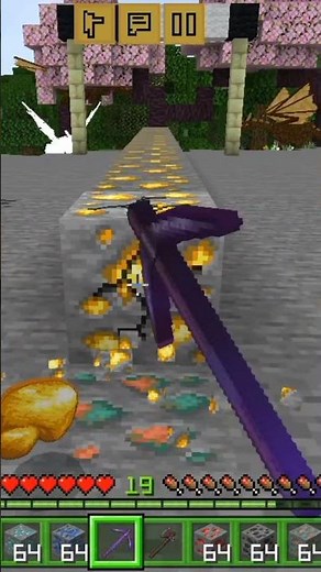 Can you play Minecraft?