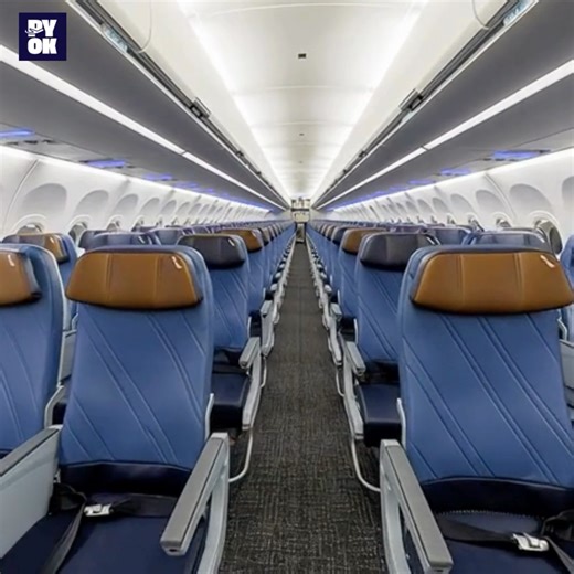 395K views · 1.8K reactions | American Airlines has become the first...