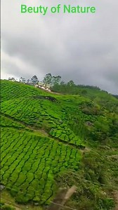 Beuty of Nature 🌴#zoomdworld #indiatourism #nature #travel #trending#tour #education