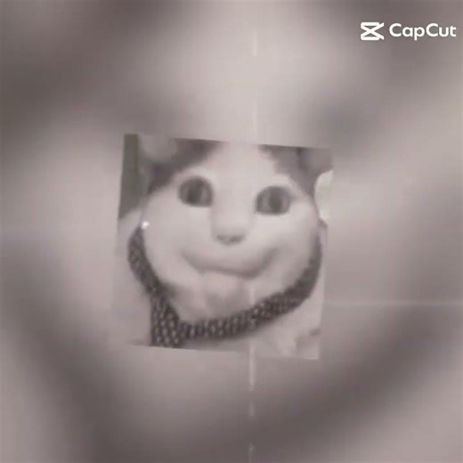 cat edit meme #humor #sonic #memes