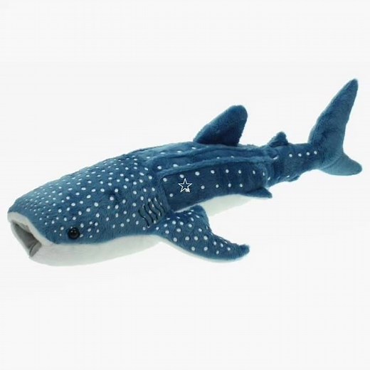Datos Curiosos sobre el Tiburón Ballena