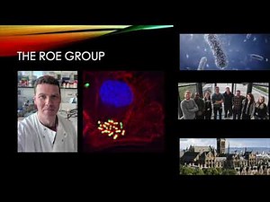 Prof Andrew Roe Lab Rotation Project