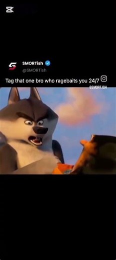 Random memes pt. 29 #memes #funny #theboys #sarcasm #gym #spidermancosplay #ragebait
