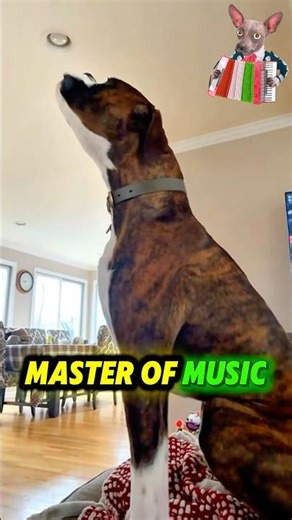 Hilarious Weird Dog Sounds 🤣🐶 | Dogs Making Strange Noises #shorts