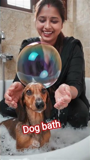 dog bath😸😸😸🦮🦮🐕🐕#yt shorts #manisha mishra comedy shorts June 10, 2026