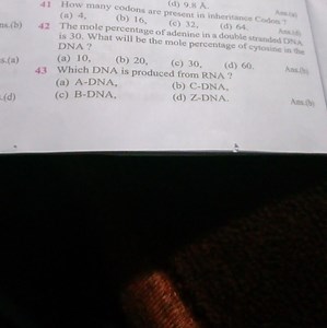 41 How many codons are pres 9.8A˚.(a) 4 ,(b) 16 ,ns.(b)Ans.... | Filo