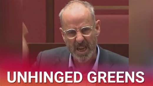 'Just pathetic': TV host blasts Greens Senator McKim over viral 'unhinged' rant
