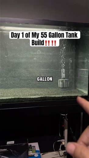 Day 1 of My 55 Gallon Tank Build! #aquarium #fishtank #fishtanksetup #aquariumsetup