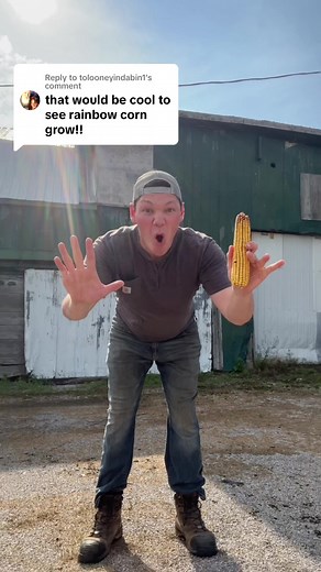 Planting Rainbow Corn: The Journey of Glass Jam Gem Corn