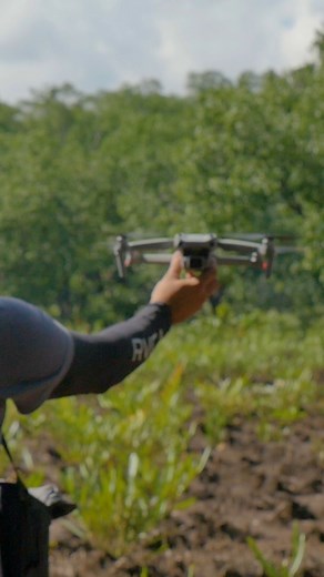 32 reactions · 6 comments | Join us in exploring the world of tree monitoring!  In this video, our Chief Impact Officer, Breece Robertson, uncovers what tree monitoring is and how drones play an important role  Witness how drone monitoring is transforming reforestation for the better! Watch the full video on our Youtube now and be a part of the change  #TreeMonitoring #DronesInAction #OneTreePlanted | One Tree Planted | Facebook