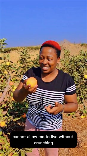 Exploring Israel's Farming Techniques: An Apple Adventure