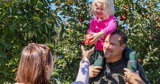 12 things to do in the Seattle area this weekend