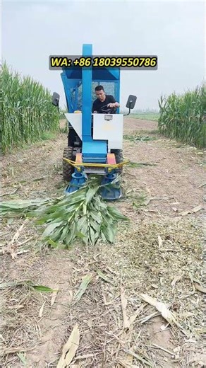 60HP Silage Harvester | 3 Acres/Hour High Efficiency For Farms