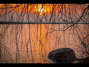 PHOTOGRAPHY TUTORIAL - Tips On How To Take Better Pictures & More Unique Photos