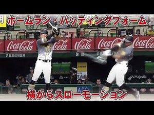 佐藤輝明のバッティングフォームを横から見る！スローあり。打ち方の参考に！