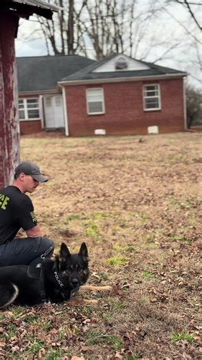 Realistic Training Scenarios for Patrol Dogs