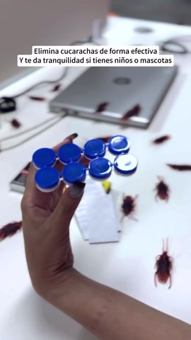 The essential cockroach exterminator for every home