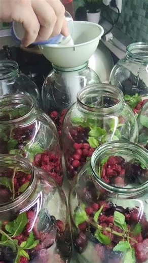Sour Cherry Compote! #recipes #traditional #compote #countrylife #easyrecipes #cooking #foodie #y...