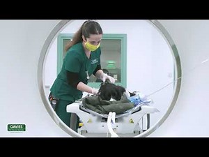 CT And MRI At Davies