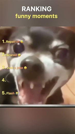 Ranking funny moments 😹 | #viral #comedy #funny #comedyfilms