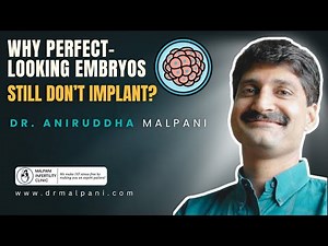 Why Perfect-Looking Embryos Still Don’t Implant?