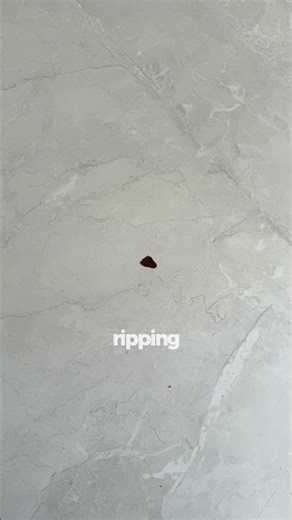 Laminate Benchtop Burn Repair | Stone Pattern Damage Invisibly Blended