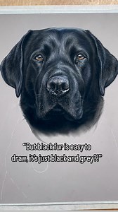 59K views · 1.1K reactions | Progress on this gorgeous lab who I’m filming as a full length lesson going live in June. Set your reminders! This lesson is all about getting hidden tones into black fur to achieve realism! I’ll share more info on stories towards the end of this month  | Emily-Mei Cross Art | Facebook