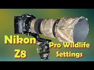 Nikon Z8 Professional Wildlife Settings- Get the most out of your Nikon Z8