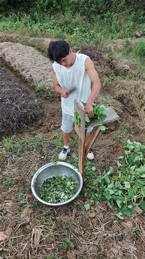 Goodbye to cuts! Wooden Pegboard Safe Straw Cutting Tool