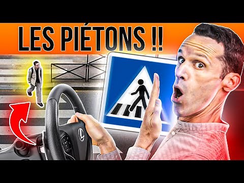 PEDESTRIANS on the driving license [Complete course 2025]