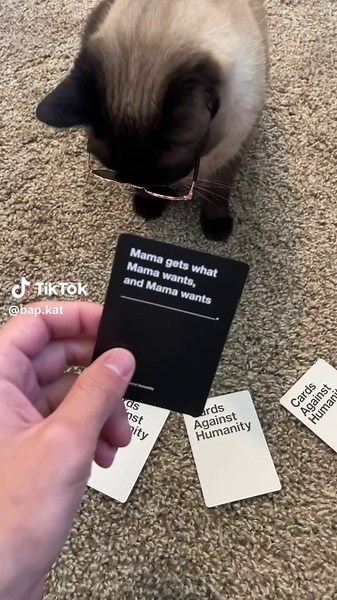 Smart Cat Plays Cards Against Humanity!