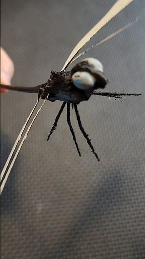 3D Printed Folding Dragonfly! 🪰🖨️ #shorts