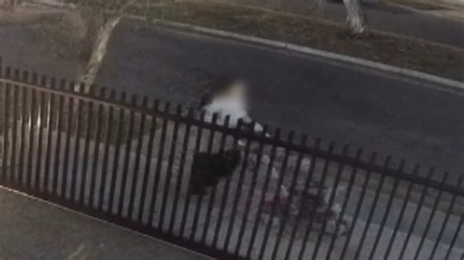 Terrifying vision shows predatory attack on mum and child