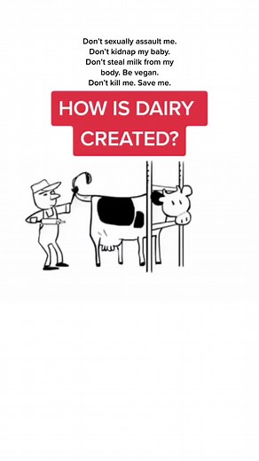 #thatveganteacherwhosings #thatveganteacherwhocomposessongs #thatveganteacherwhocares #musicbythatveganteacher #milk #mylk #dairyisscary #cows #cow