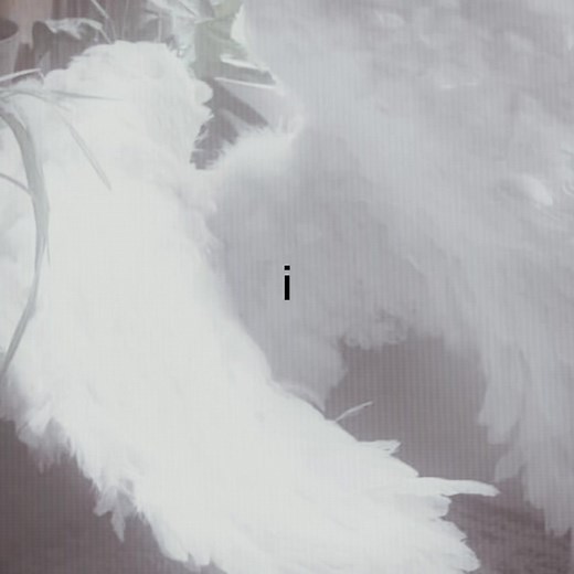 Ruler of My Heart (Till Version) Lyrics