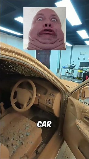 Cleaning car #memes #funny #car