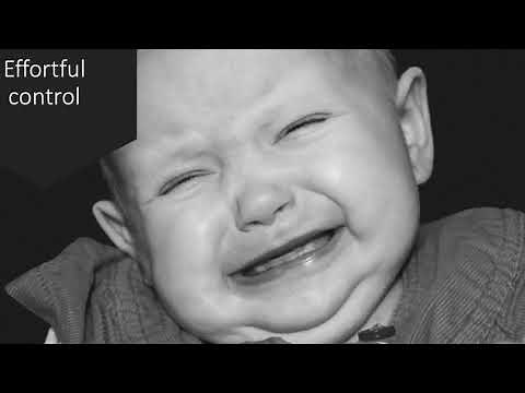 Temperament | Developmental Psychology