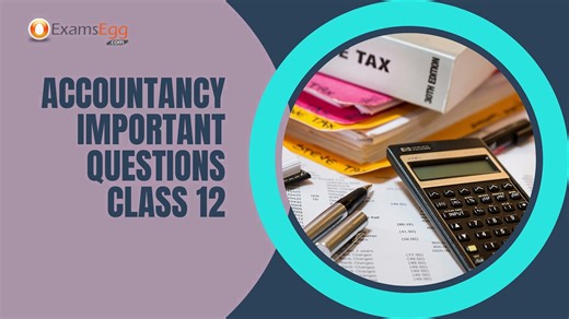 Accountancy Important Questions Class 12