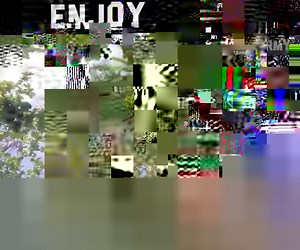 2.5M views · 6.6K shares | These clips are for the birds. | FailArmy | Facebook