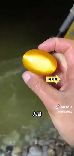 Rare Stone Found Today | #crystals #treasuresearch #fishing