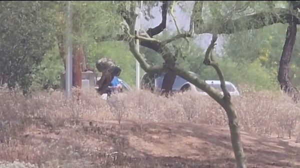 Body found in Scottsdale canal ID'd as missing woman from Native American community: police