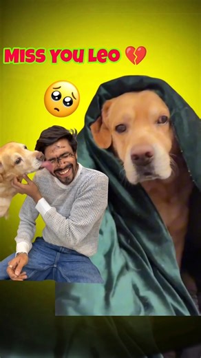 Miss You Leo 💔 || #shorts #leo @AnantRastogi